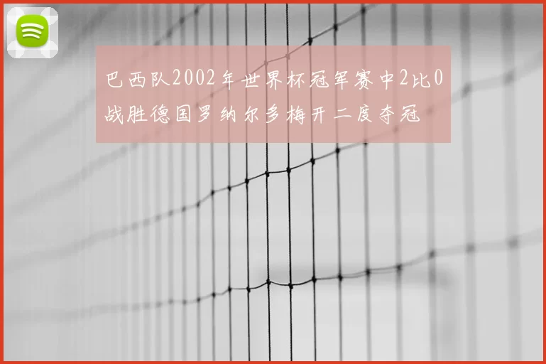 巴西队2002年世界杯冠军赛中2比0战胜德国罗纳尔多梅开二度夺冠