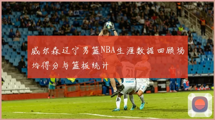 威尔森辽宁男篮NBA生涯数据回顾场均得分与篮板统计