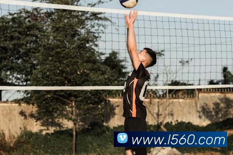 欧宝官方版网站登录入口 - 欧宝online(中国)平台生态图