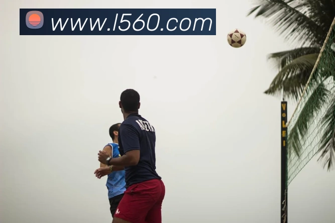 欧宝官方版网站登录入口 - 欧宝online(中国)APP 封面图